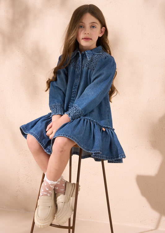 Rafferty Denim Star Collar Dress