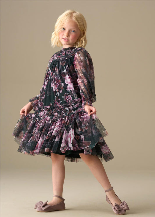 mini girl ruffle print mesh dress