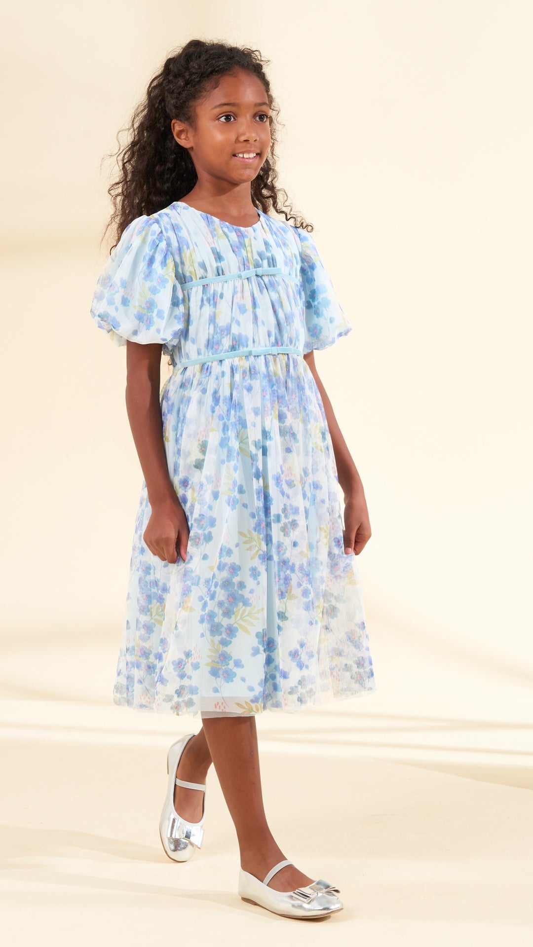 Mina Blue Printed Mesh Dress