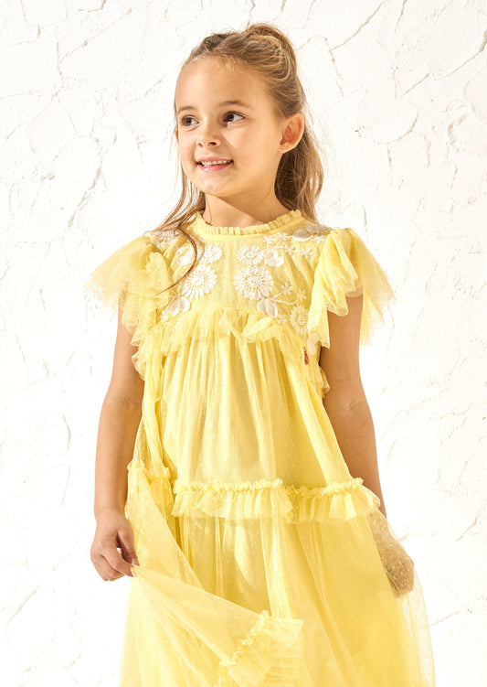 Luisa Yellow Embroidered Mesh Dress