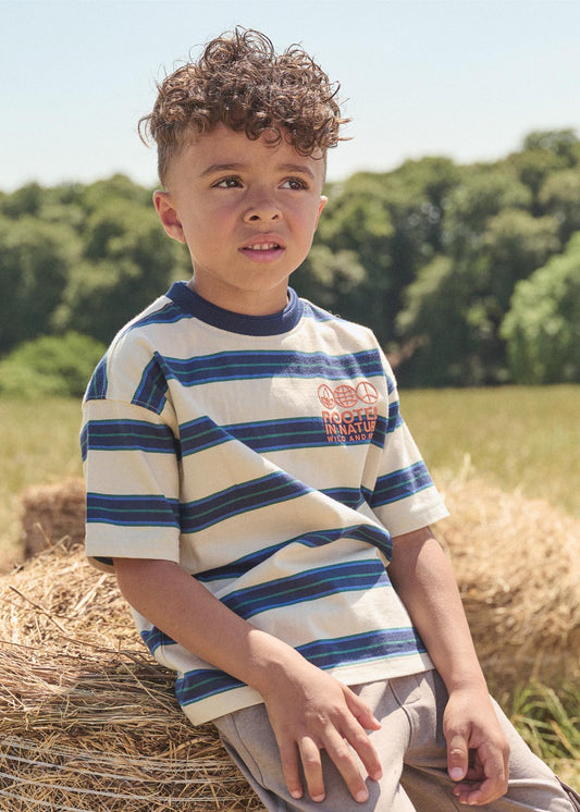 Boy Yarn Dyed Stripe T-Shirt