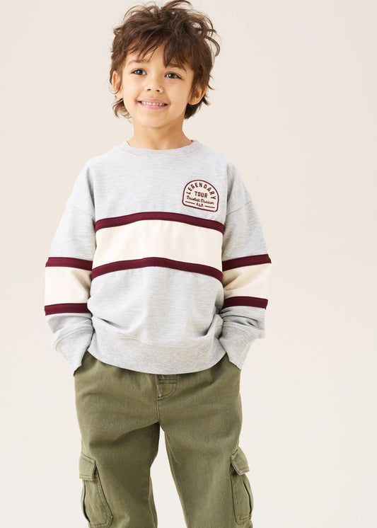 sweatshirt for boys