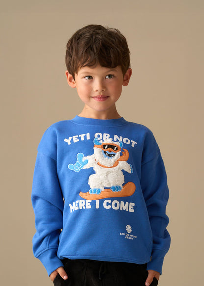 Boys Seasonal Print Sweatshirt - Blue