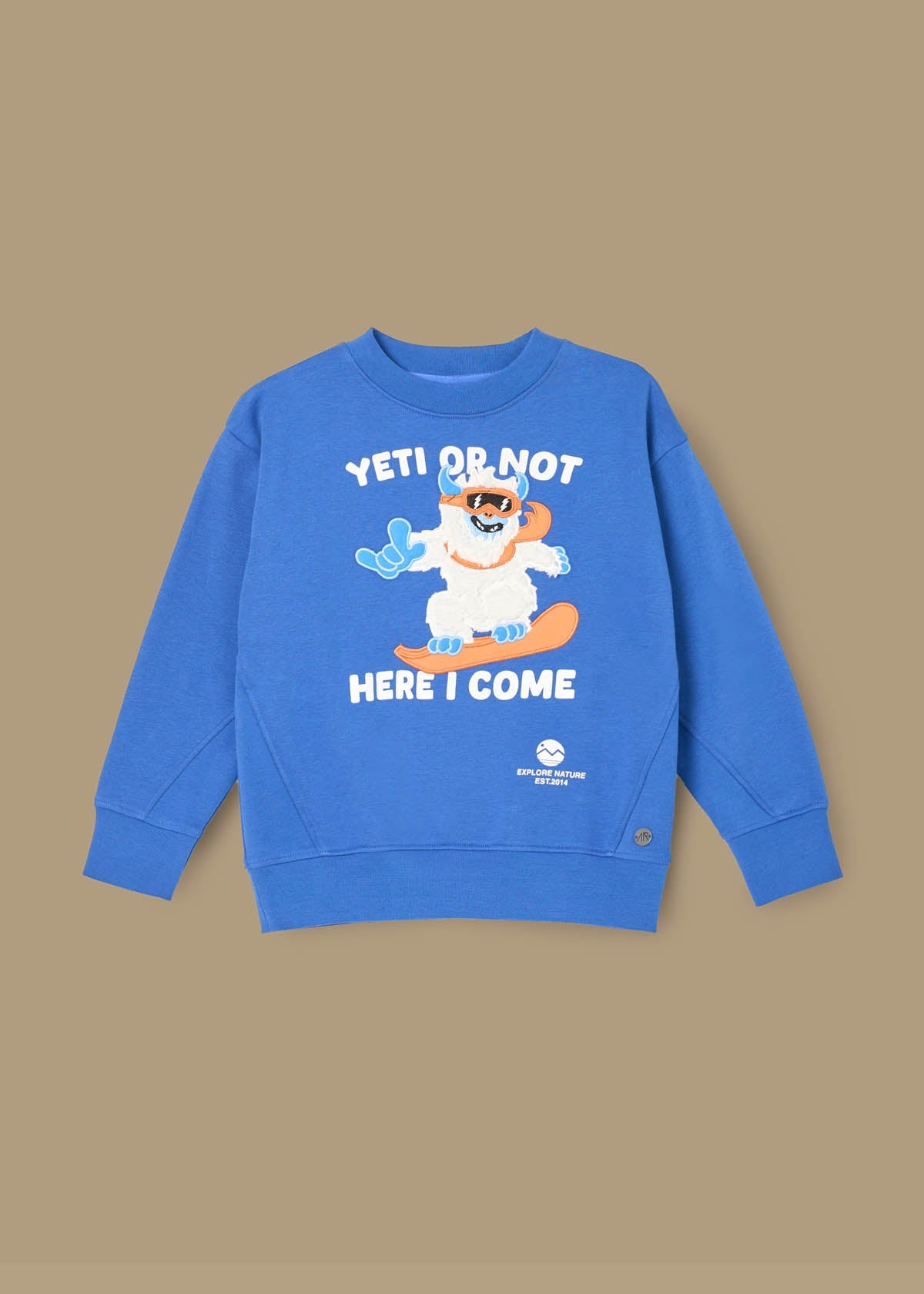 long sleeve boys seasonal print sweatshirt blue