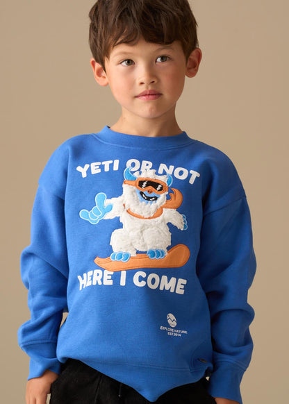 cotton boys seasonal print sweatshirt blue