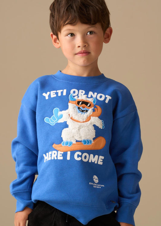 cotton boys seasonal print sweatshirt blue