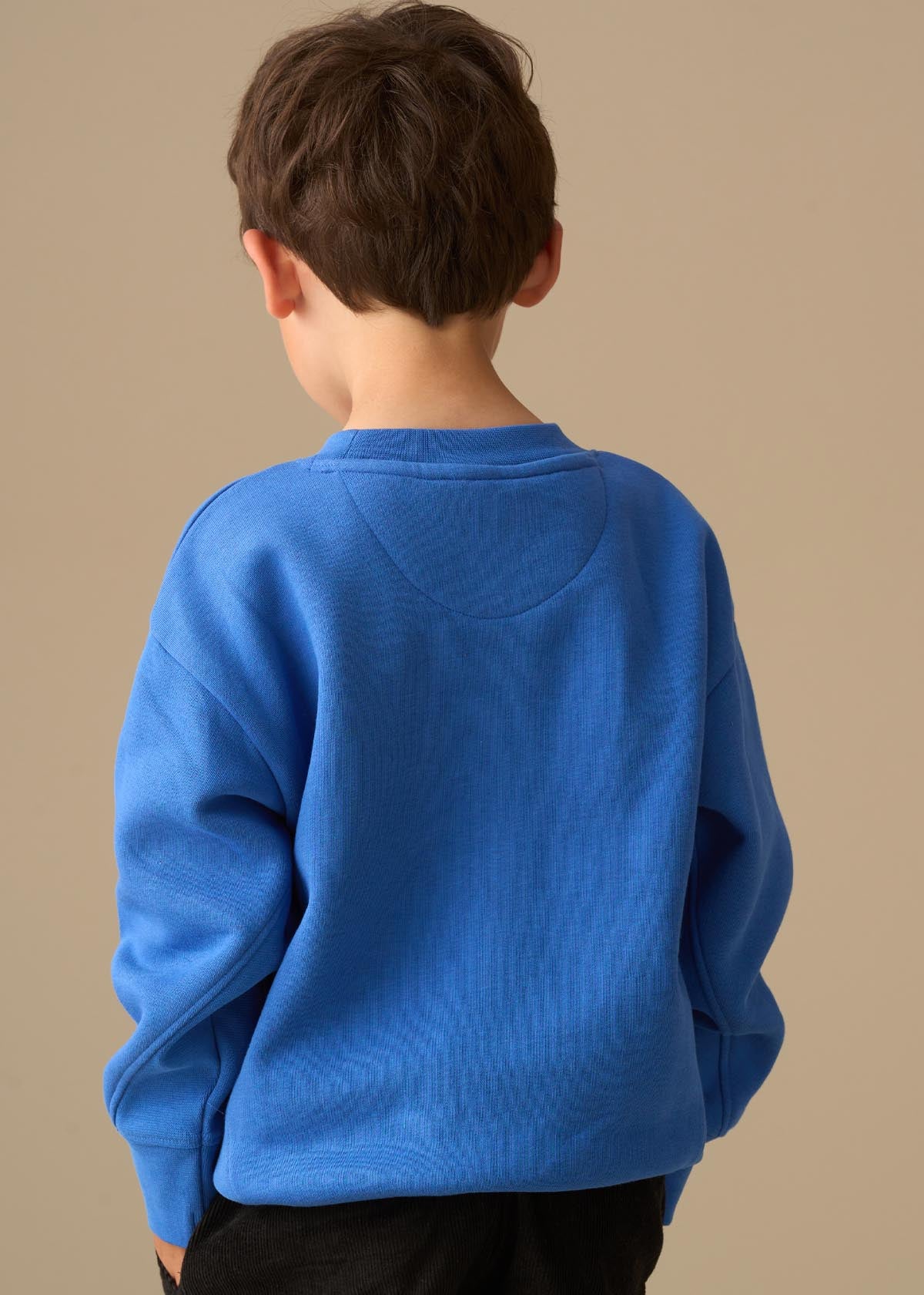 round neck boys seasonal print sweatshirt blue