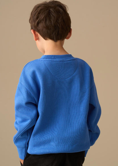 round neck boys seasonal print sweatshirt blue