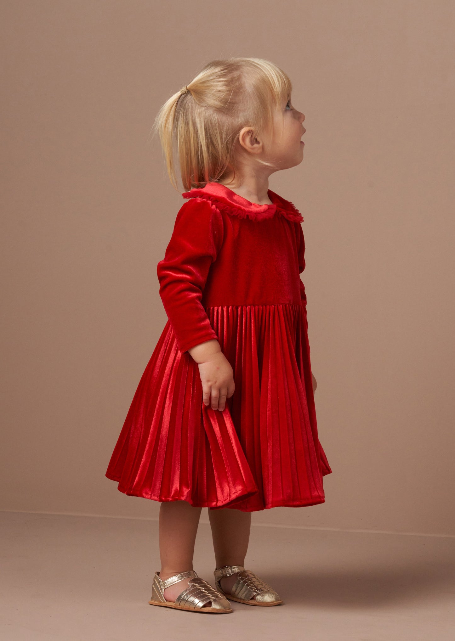 Charlotte Red Velvet Dress